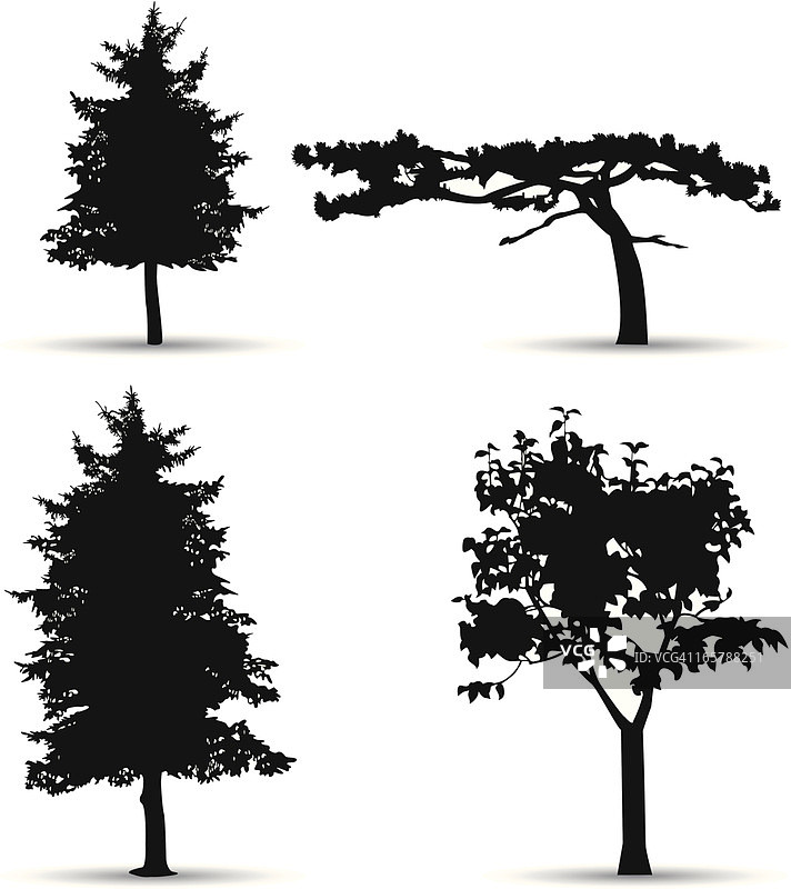树木轮廓图片素材