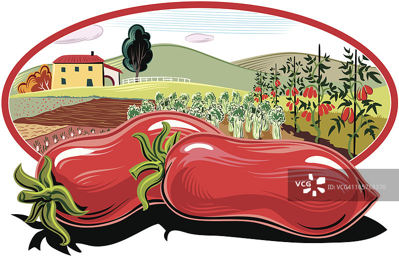 椭圆形画框里的番茄田园风光图片素材