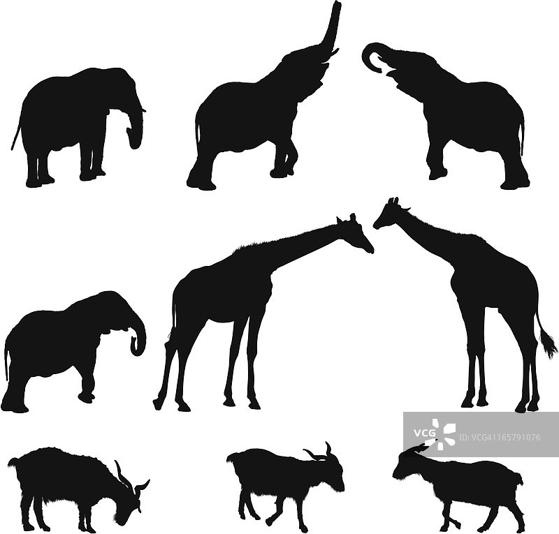 野生动物轮廓图片素材