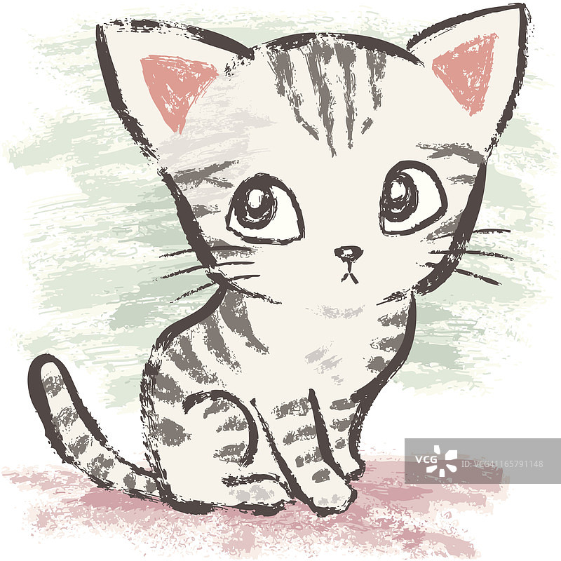 坐着的美国短毛猫图片素材