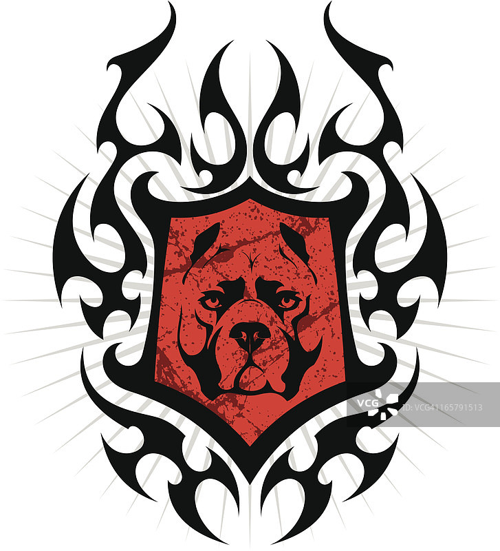 火焰中的盾牌和比特犬头图片素材