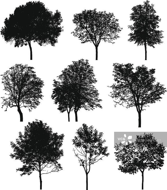 黑白背景上的树木剪影蒙太奇图片素材