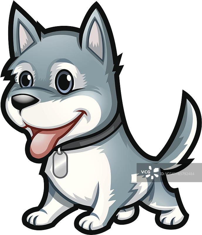 哈士奇幼犬图片素材