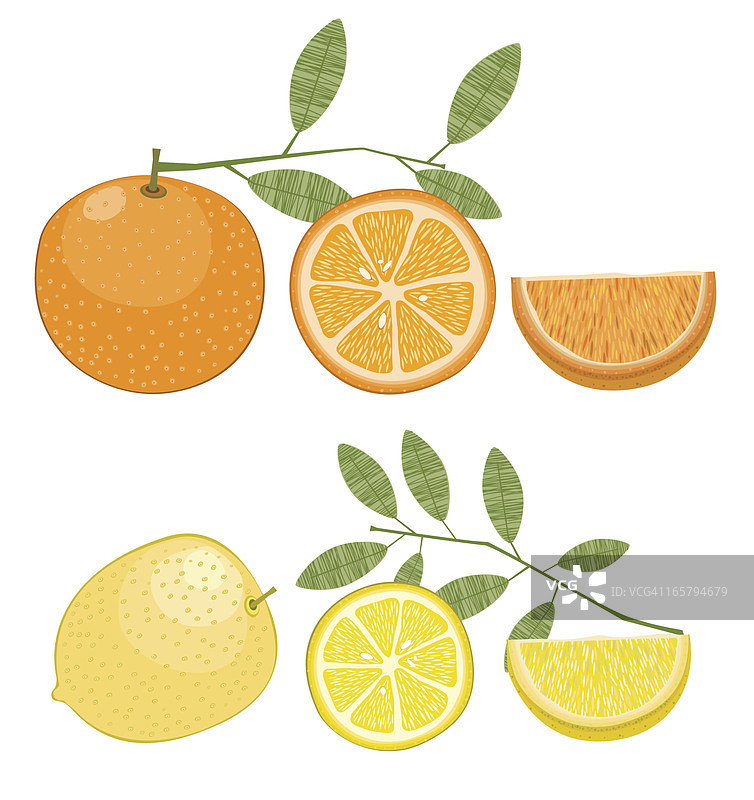 柠檬和橙子与树叶图片素材