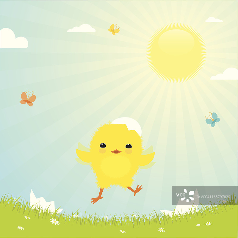 复活节小鸡图片素材