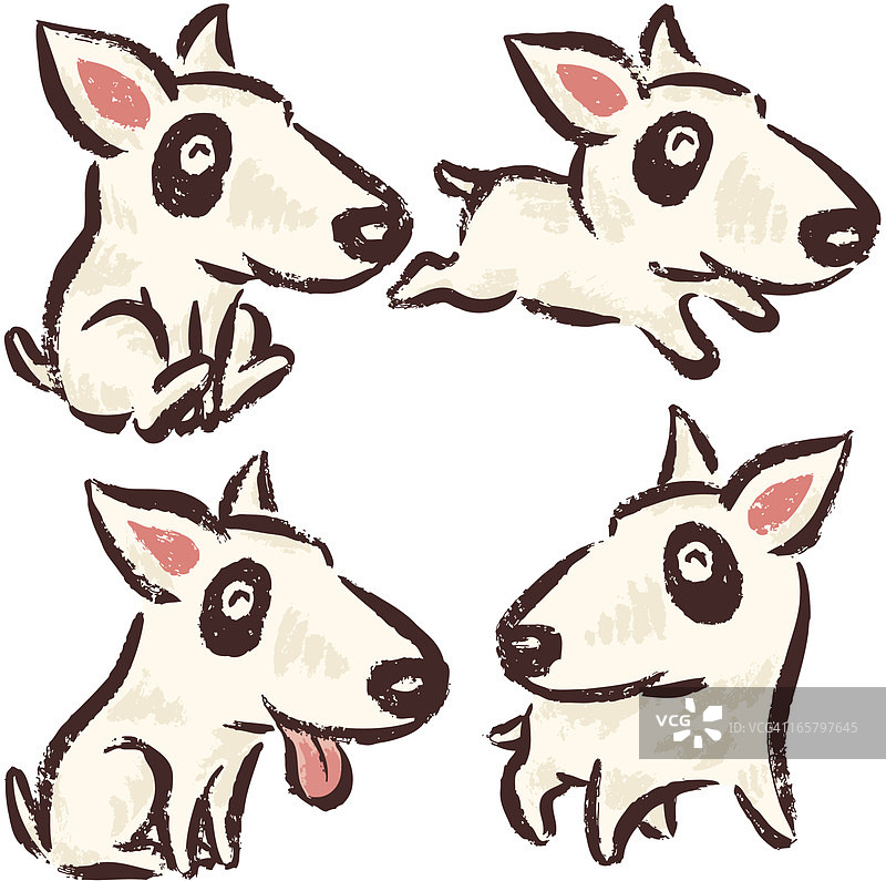 牛头梗犬图片素材