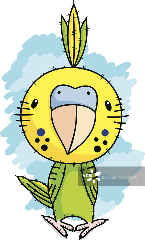 虎皮鹦鹉图片素材