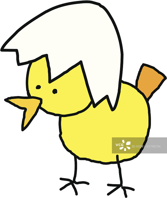 新生小鸡图片素材