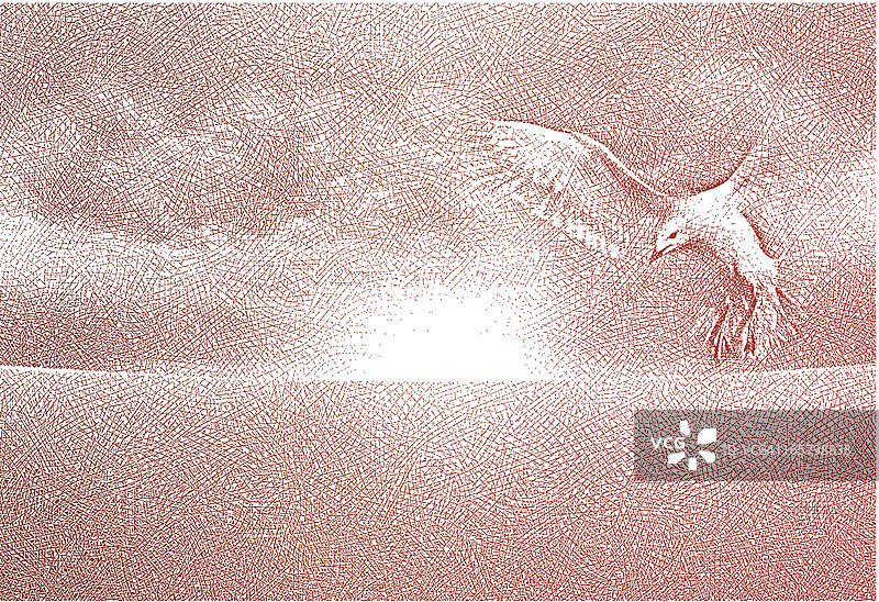 精神之鸟图片素材