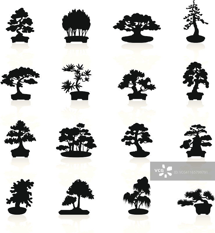 盆景树黑色符号图片素材