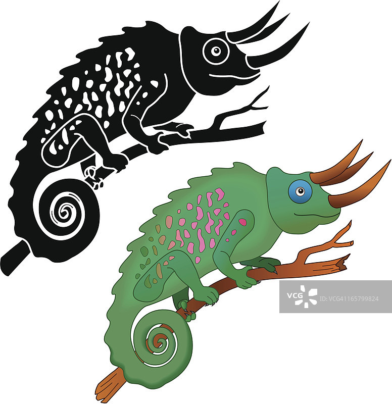 变色龙图片素材