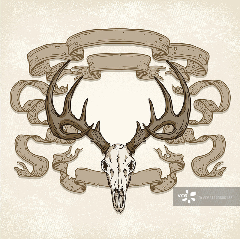 鹿头骨banner图片素材