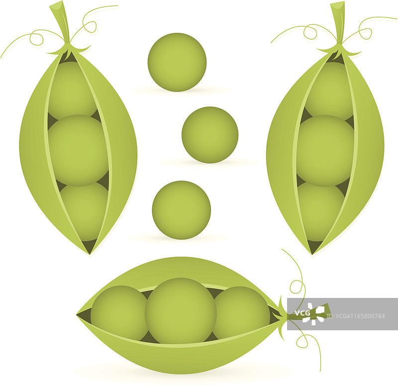 豌豆套装图片素材