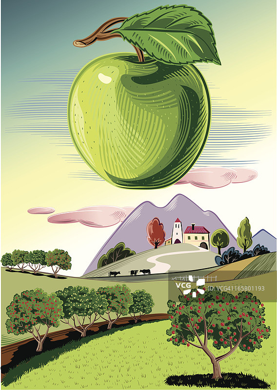 绿苹果果园图片素材