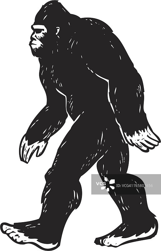 大脚怪插画图片素材