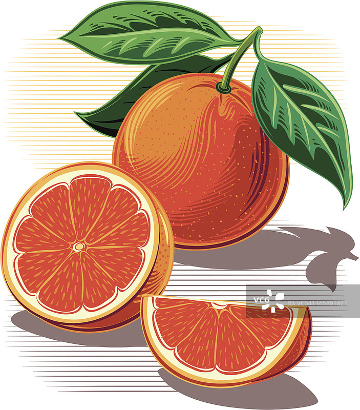 橙子图片素材