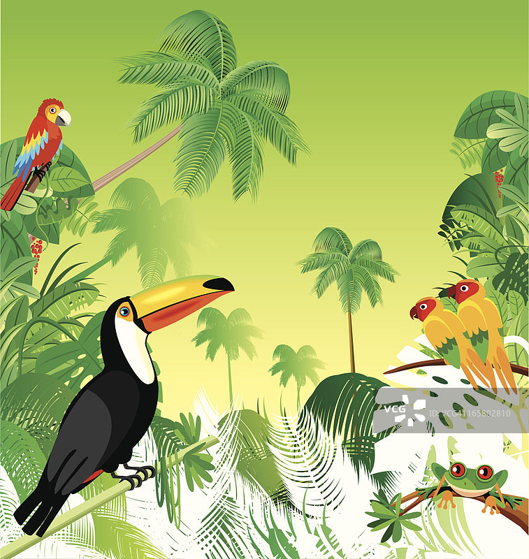 热带森林图片素材