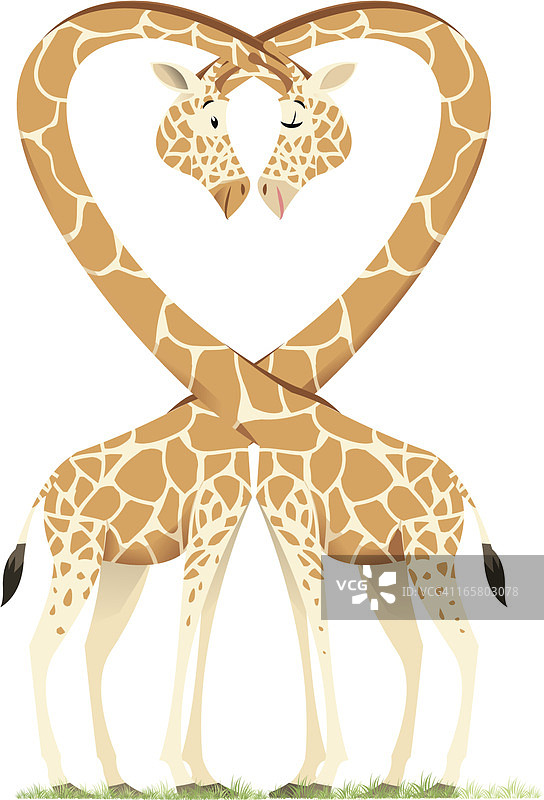 长颈鹿图片素材