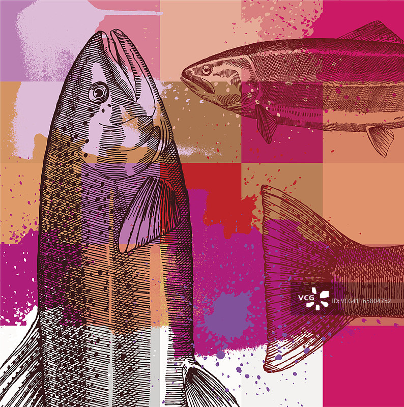 艺术风格的渔具复古设计图片素材