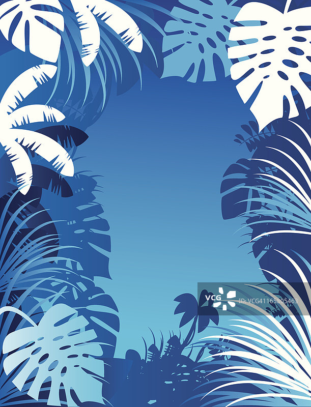 热带植物和树叶的插画边框图片素材