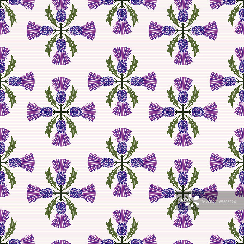 重复苏格兰蓟图案图片素材