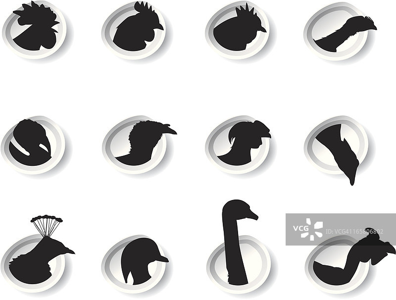 家禽贴纸图片素材