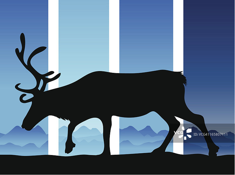 寒冷蓝色气候中的驯鹿图片素材