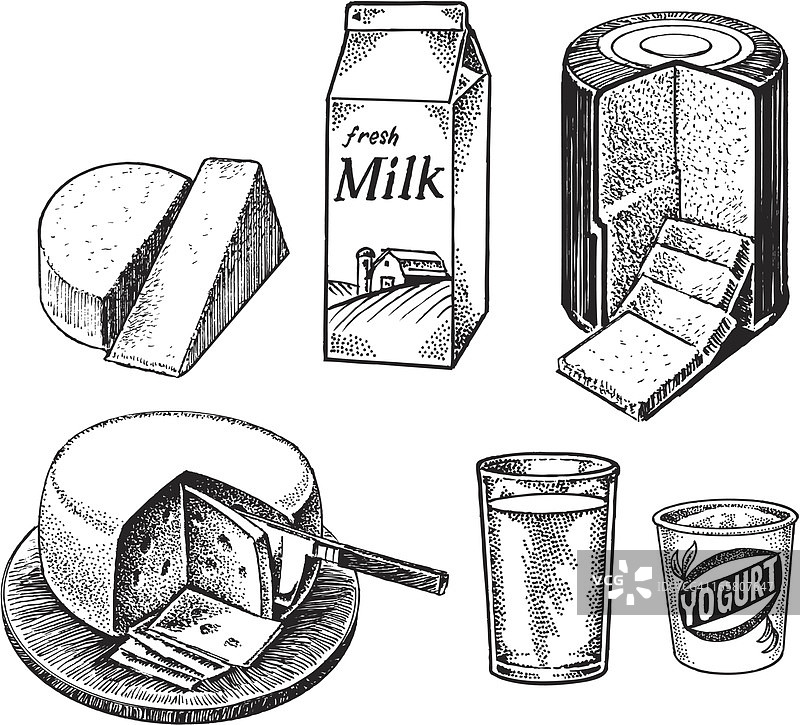 乳制品——牛奶、奶酪、酸奶图片素材