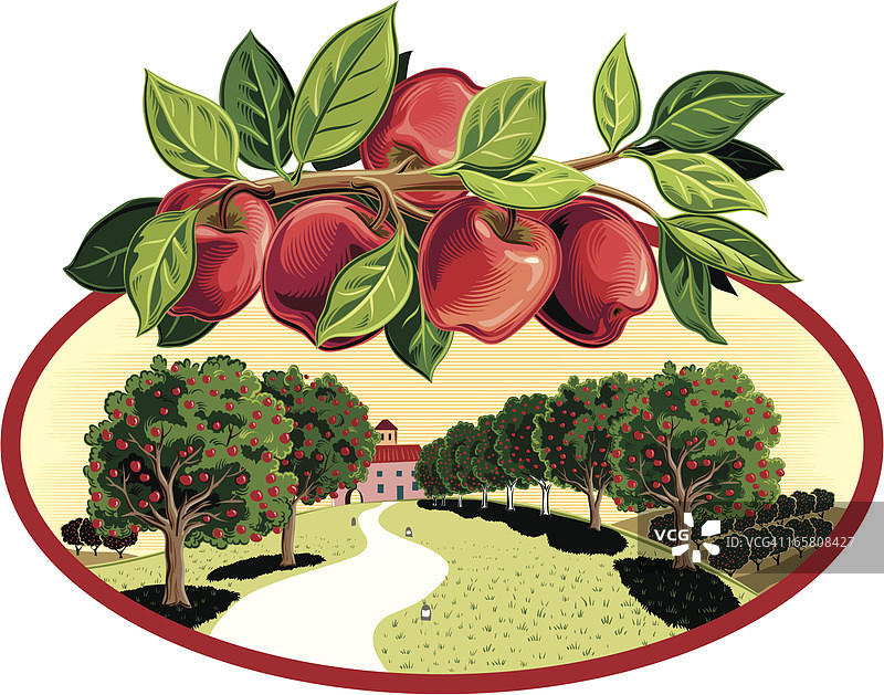 苹果树果园图片素材