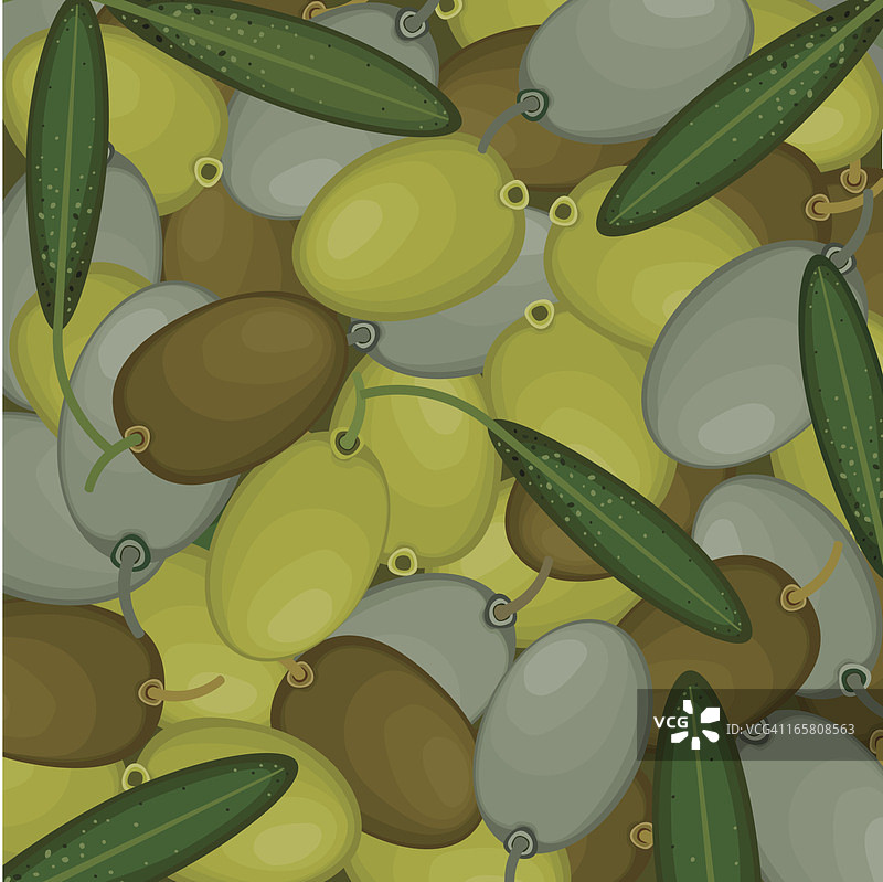 绿橄榄叶背景图片素材