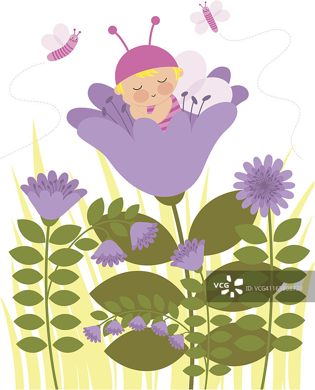 小蝴蝶图片素材