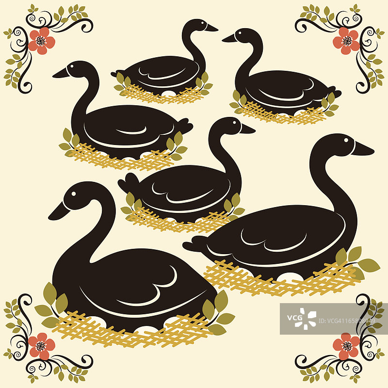 正在下蛋的六只鹅图片素材