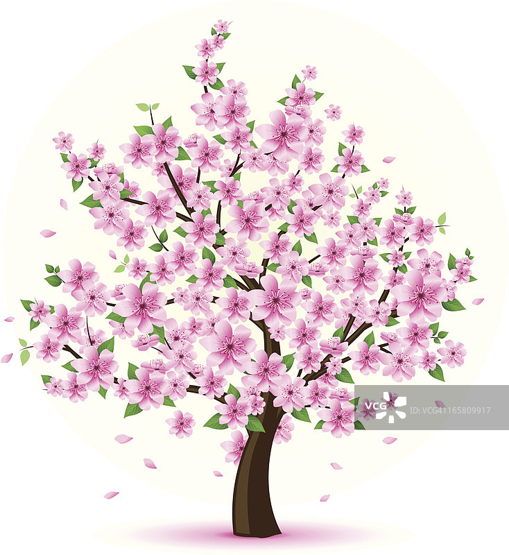 盛开的树木图片素材