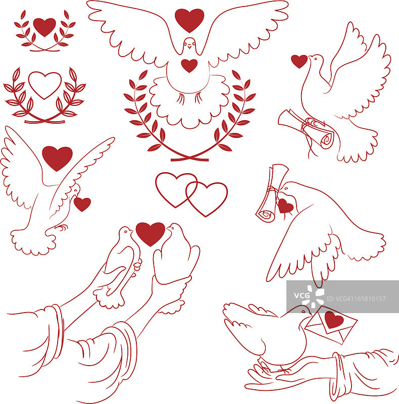 鸽子和红心图片素材