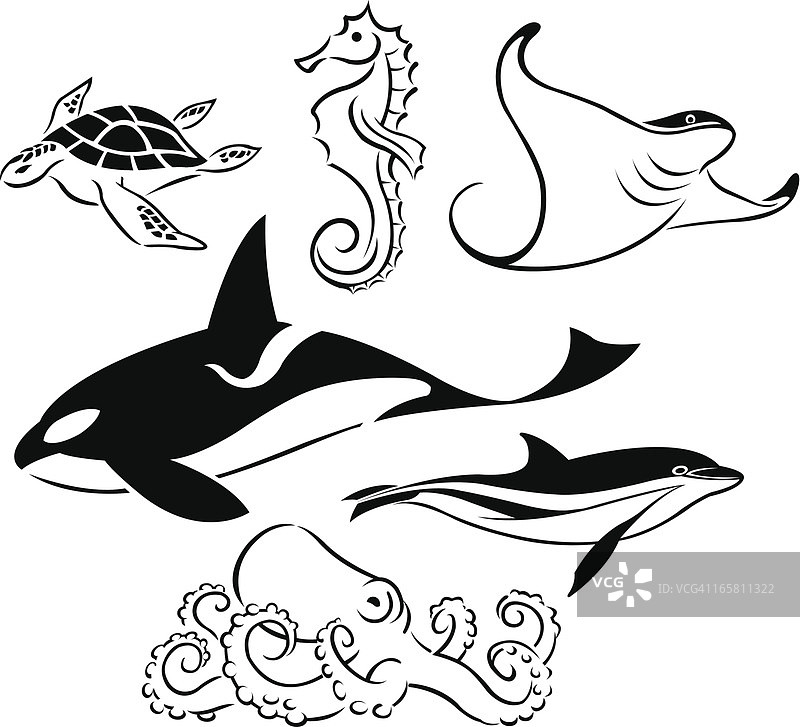 海洋动物：鲸鱼、海豚、海龟、章鱼、海马图片素材