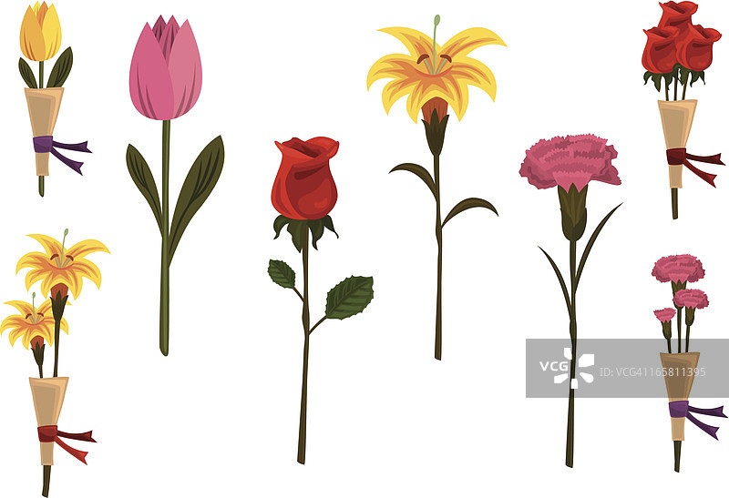 母亲节鲜花图片素材