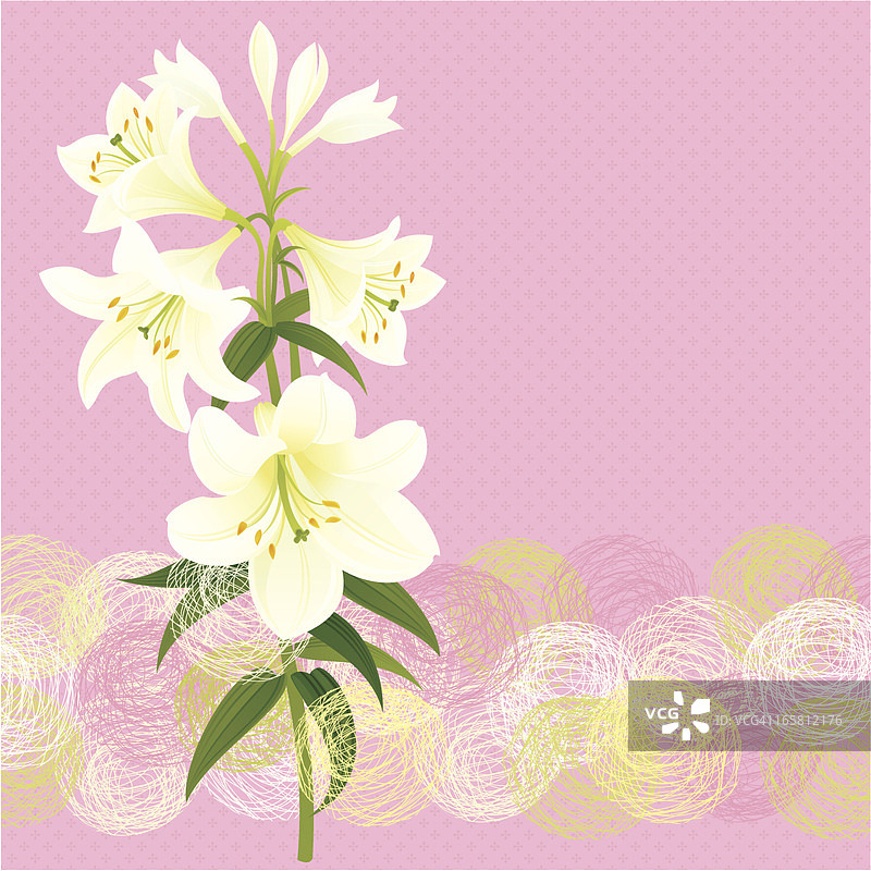 复活节白色百合图片素材