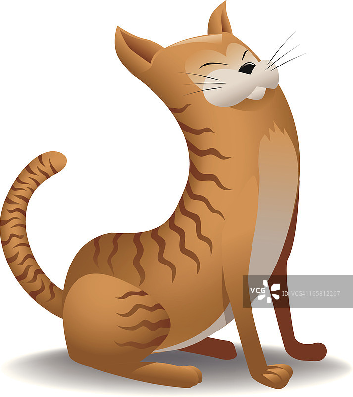 橙色的猫图片素材