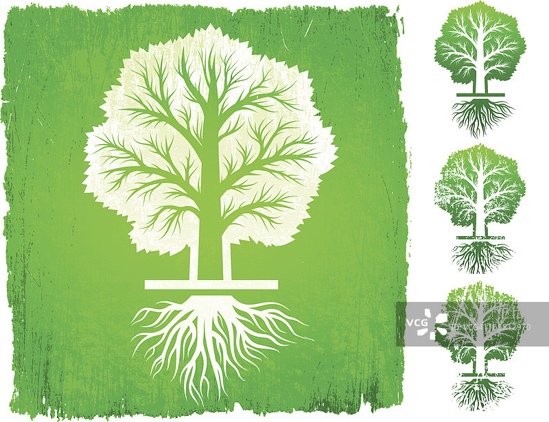 绿色免版税矢量背景上的树根图片素材