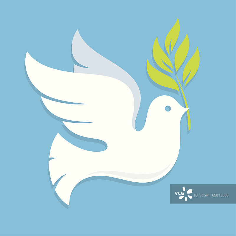 和平鸽图片素材