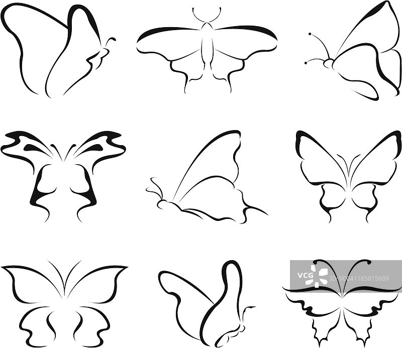 蝴蝶线条艺术图片素材