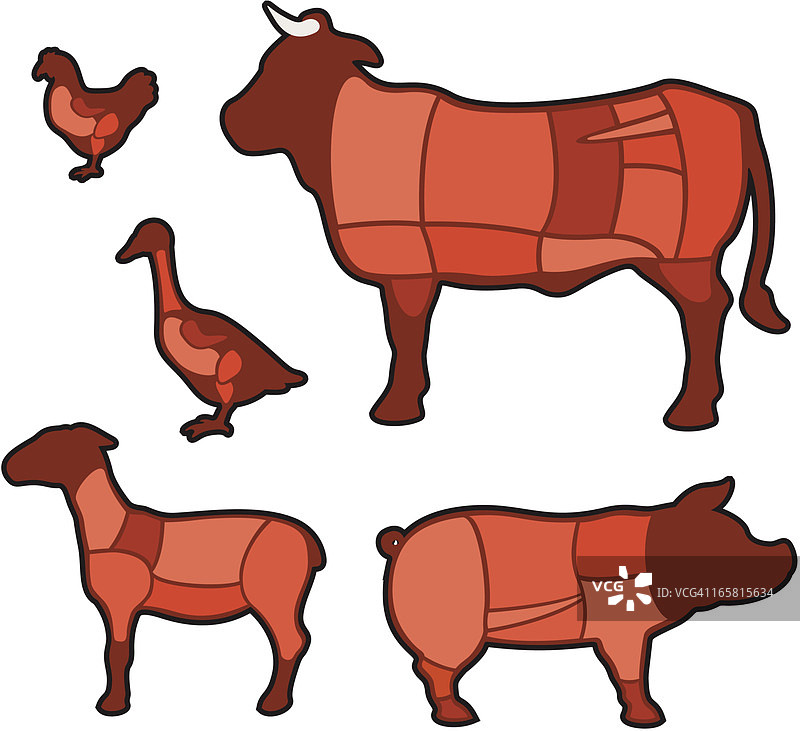 肉类分割图图片素材