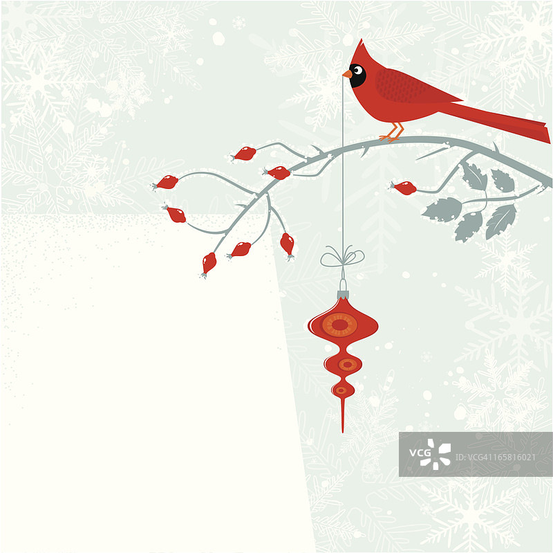 带有圣诞装饰的红雀图片素材