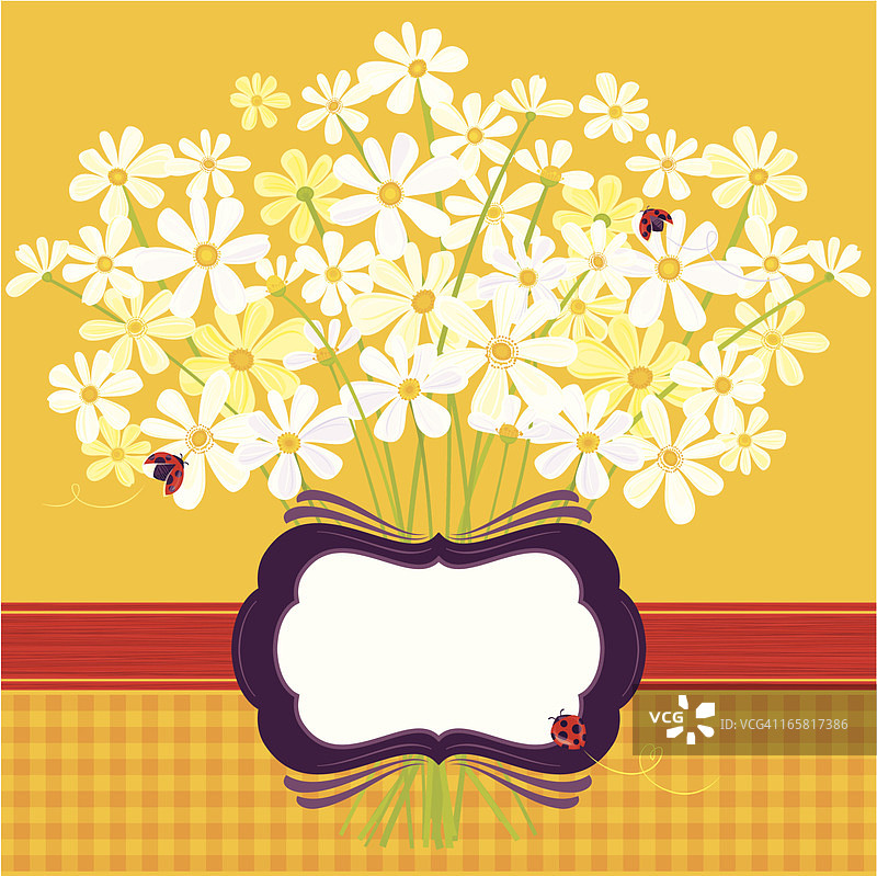 黄色背景上的雏菊图片素材