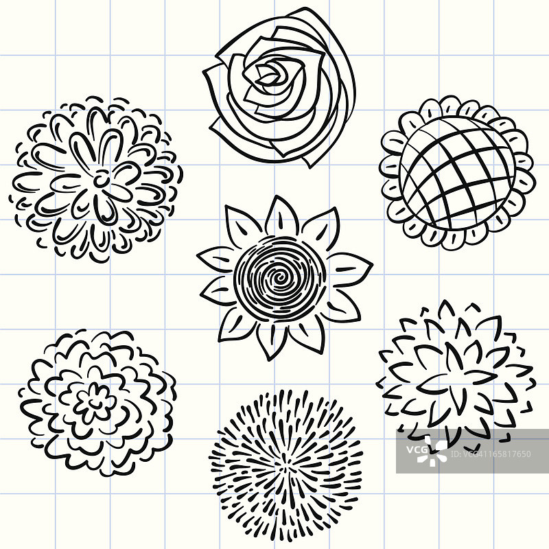 黑白鲜花合集图片素材