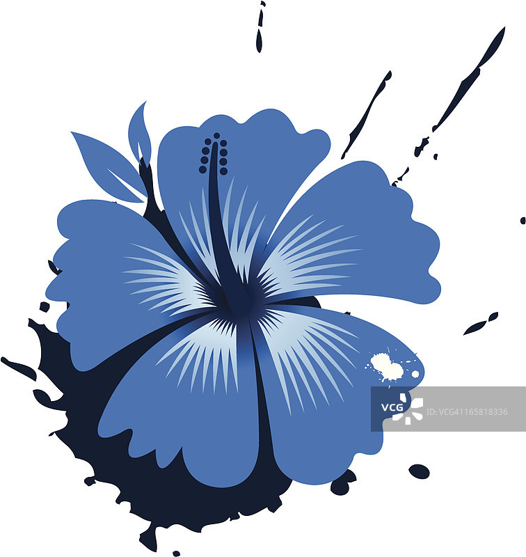 芙蓉花设计图片素材