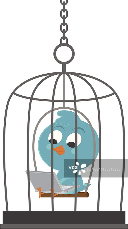 鸟笼中的蓝知更鸟图片素材