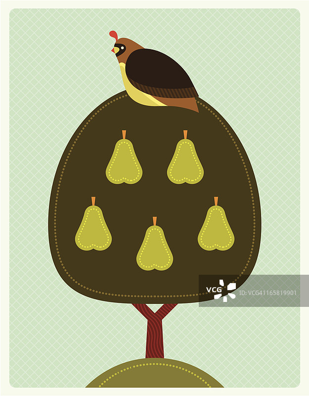 梨树上的鹧鸪图片素材