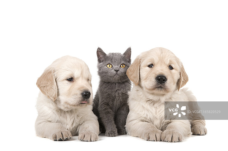 三个伙伴图片素材