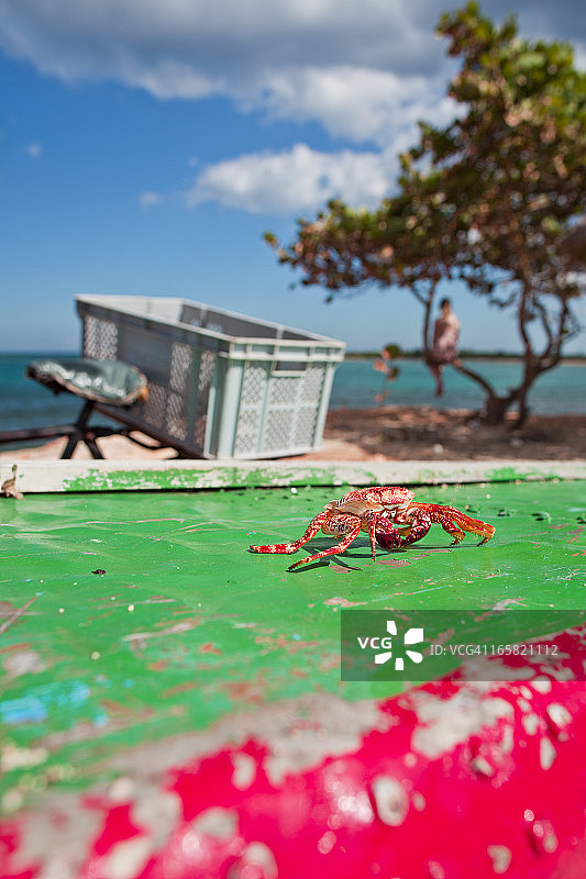 岸边船上的螃蟹残骸图片素材